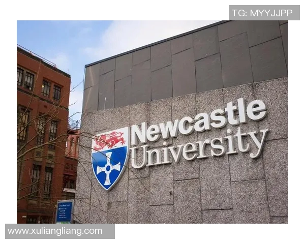 纽卡斯尔：英格兰东北部的历史与现代交汇地，探索其独特魅力与发展潜力