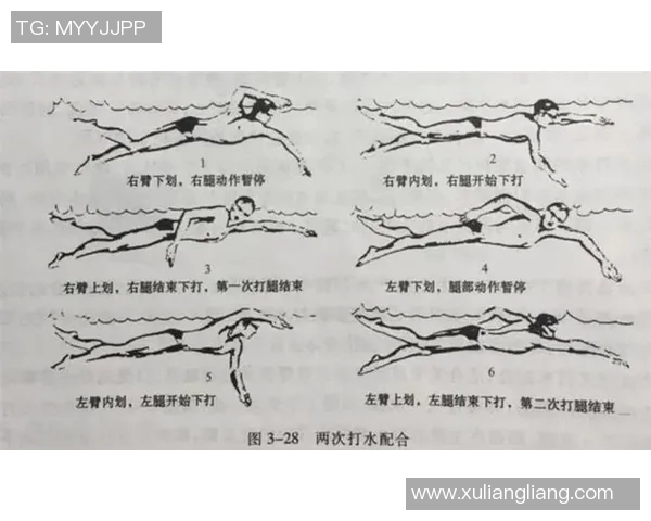 自由泳技巧全面解析与训练方法提升游泳水平的关键路径
