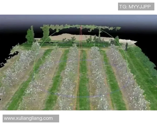 果园四季变换与生态可持续发展探讨：从栽培技术到环境保护的全方位分析