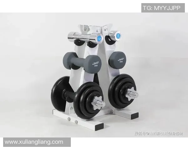 西湖健身器材：特色健身设备推荐