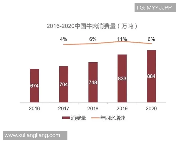 西安极限运动队中路突破的背后故事与发展趋势解析