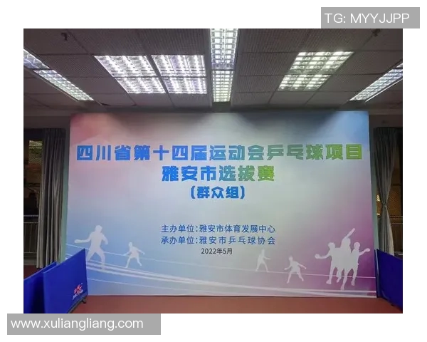 上海乒乓球队的精神风貌与发展历程深度剖析